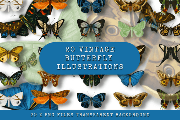 20 Vintage Butterfly Illustrations: A Designer's Toolkit for Timeless Elegance