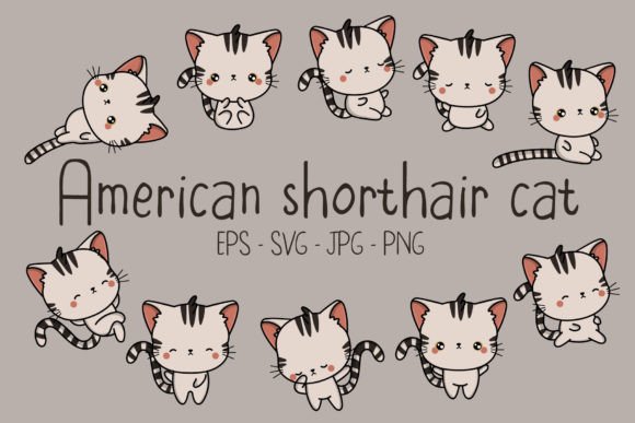 American Shorthair Cat Illustrations Set: Adorable Assets for Your Projects