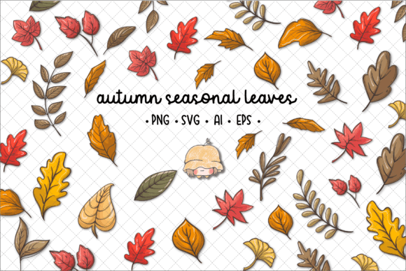 Autumn Fall Season Leaves Illustrations for Creative Projects