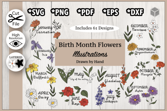 Celebrate Every Month: The Birth Flower Illustrations Bundle