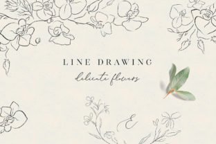 Elegant Orchid Line Art: 11 Elements for Your Designs