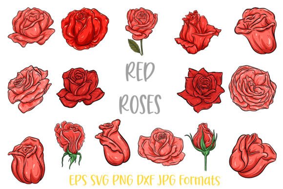Elevate Your Projects with Red Rose Flower Line Art Illustrations