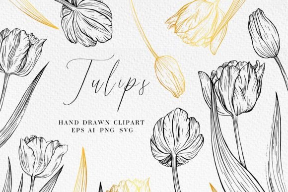 Exploring the Charm of Tulip Line Art Illustrations