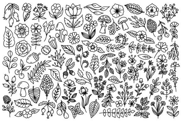 Nature Line Art Illustrations for Modern Design