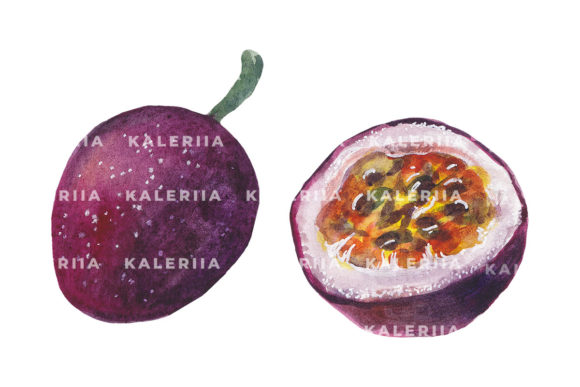 Passion Fruit - Watercolor Illustrations: A Fresh Design Asset