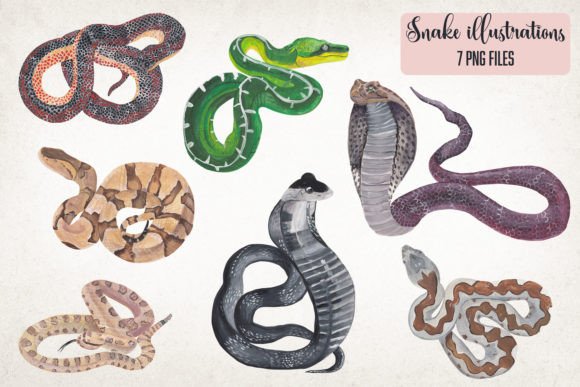 Snakes Clipart Illustrations: Hand-Drawn Gouache Art for Creative Projects